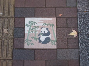 In Tokyo, even the pavement is beautiful...
